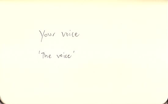 Your Voice. The Voice.